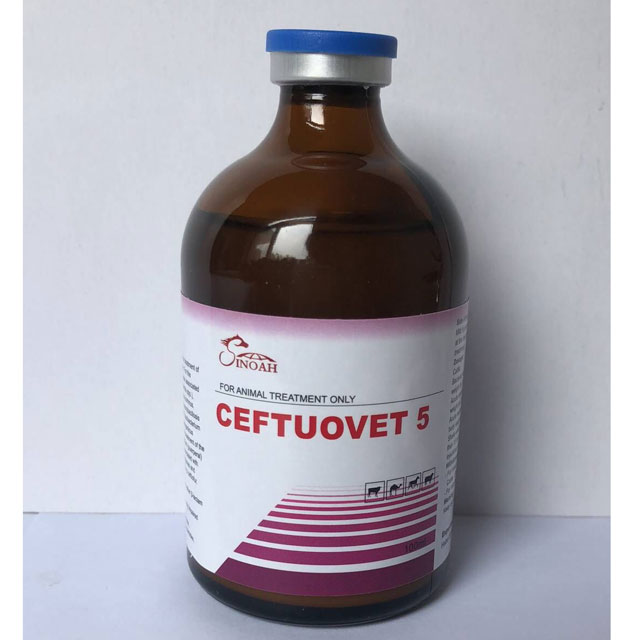 Ceftifour HCL Injection